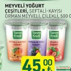 TARIM KREDİ MEYVELİ YOĞURT ÇEŞİTLERİ 500 G fiyat ve kampanya bilgisi